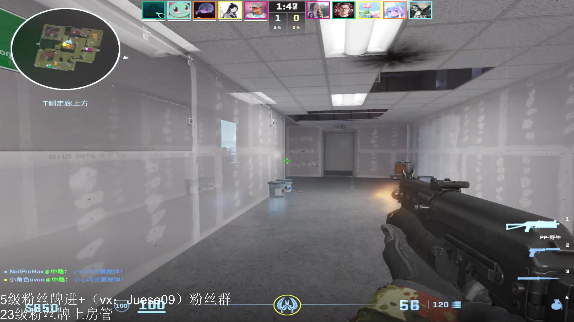 【2024-02-05 01点场】小角色ovo：vx区带粉时间来喽！