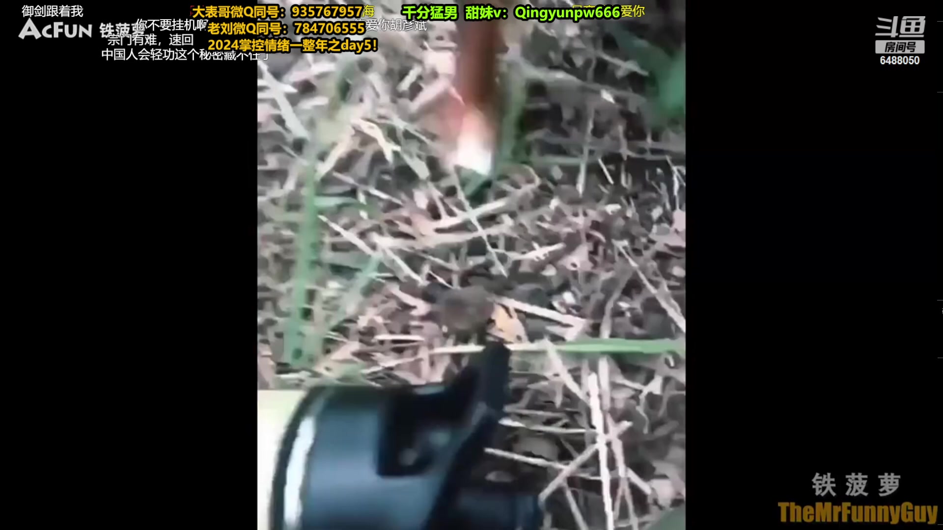 【2024-02-06 16点场】旋转的老刘诺手：最快乐诺手巨魔 快来！