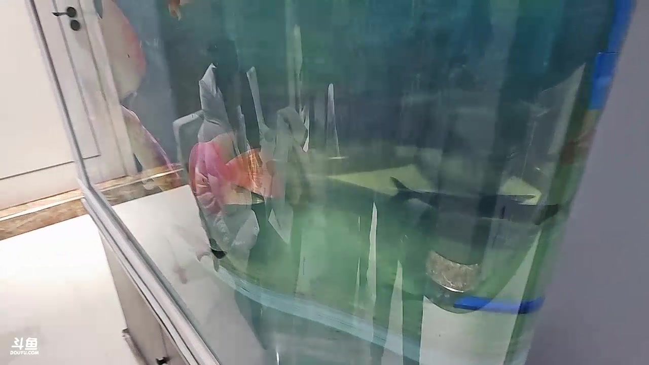 【2024-02-07 14点场】别问问就黑皮：下午三点直播