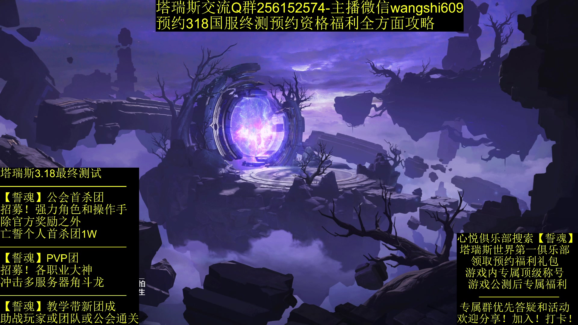 【2024-02-08 12点场】亡誓Wang：招募终测-有问必答