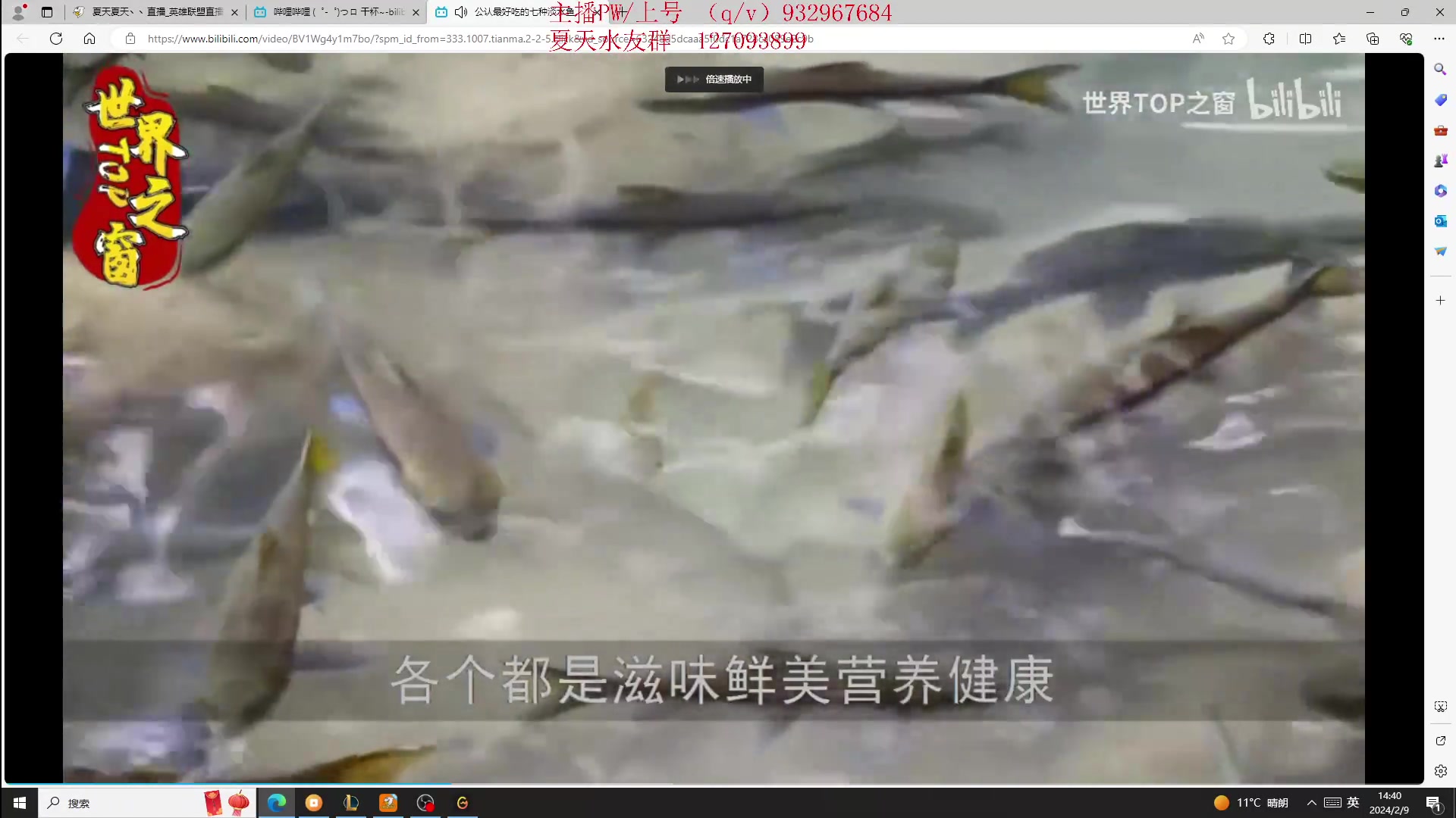 【2024-02-09 14点场】夏天夏天丶丶：T0AD 女枪王把把凯瑞