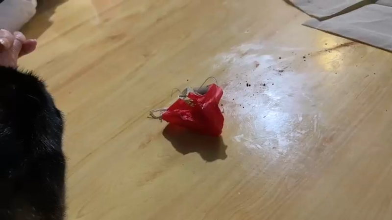 【2024-02-09 19点场】南波儿大魔王丶：一会来哦兄弟们！