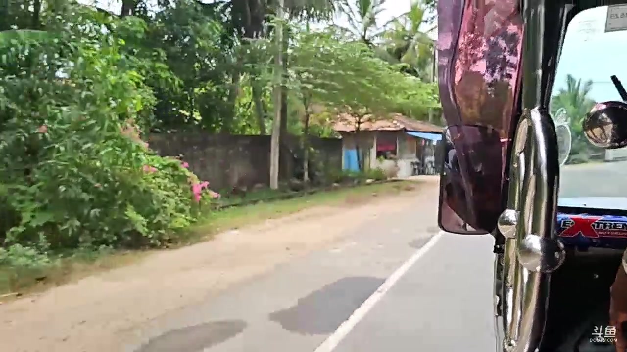 【2024-02-04 14点场】叶子户外：《纪实直播》斯里兰卡离别的一天