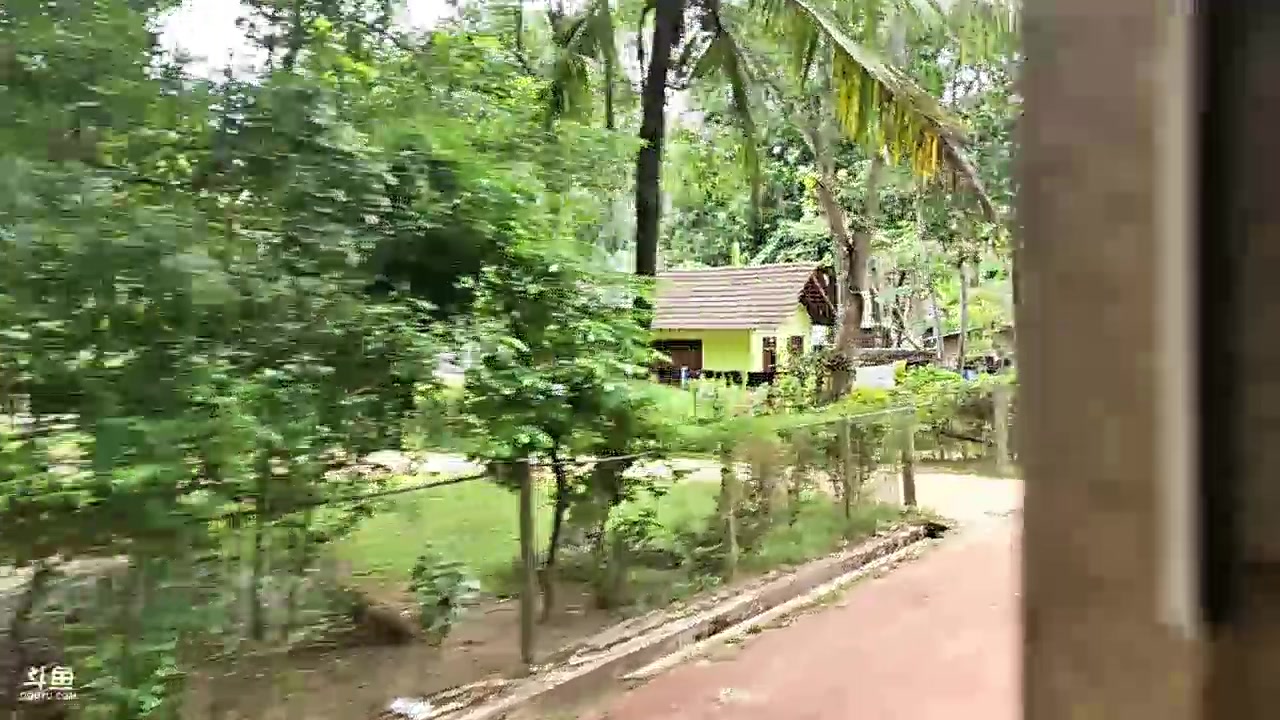 【2024-02-04 16点场】叶子户外：《纪实直播》斯里兰卡离别的一天