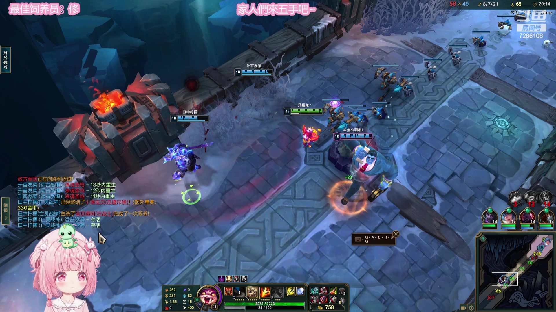 【2024-02-08 00点场】一只猛龙丶：龙年奖励你一只猛龙~祝你财源滚滚来