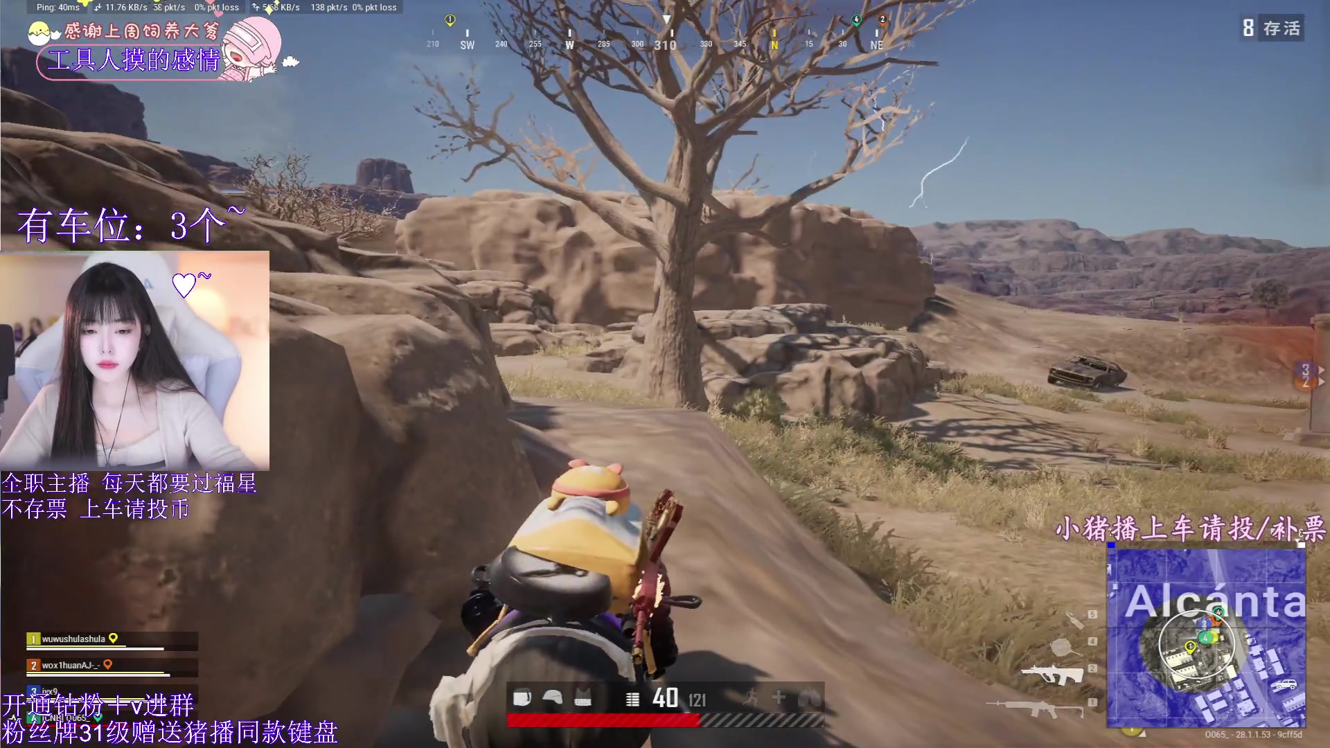 【2024-02-11 23点场】花桑丶065：【花桑】新年快乐 包贝~