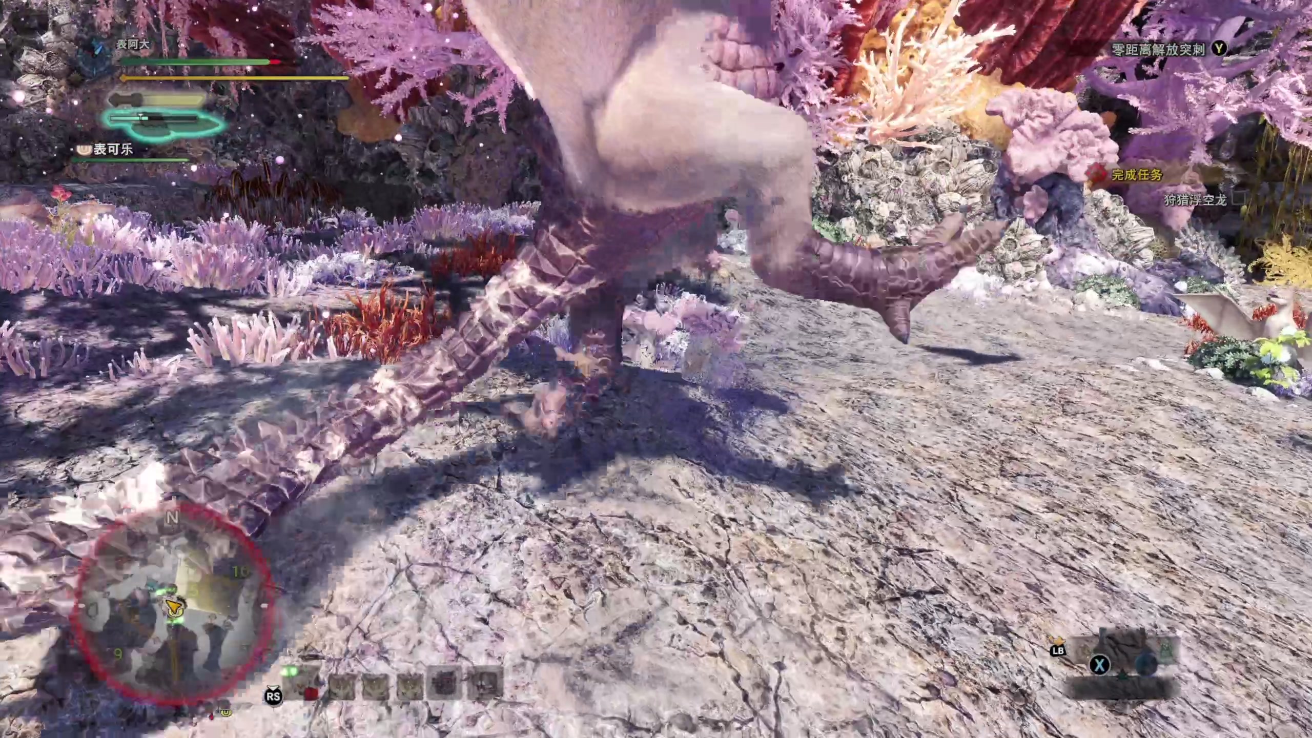 【2024-02-13 17点场】尐表哥：老表：13号下午直播！