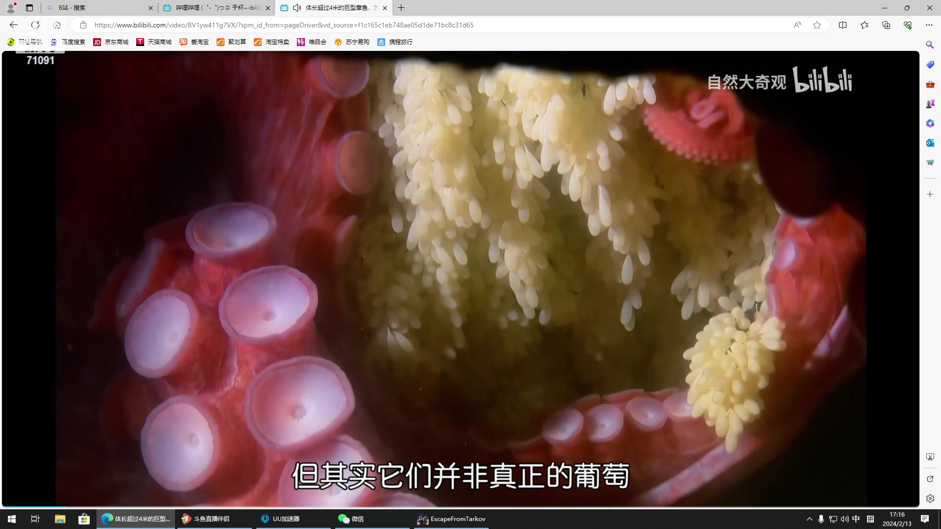 【2024-02-13 16点场】狼牙山凯哥：发财发财~~~