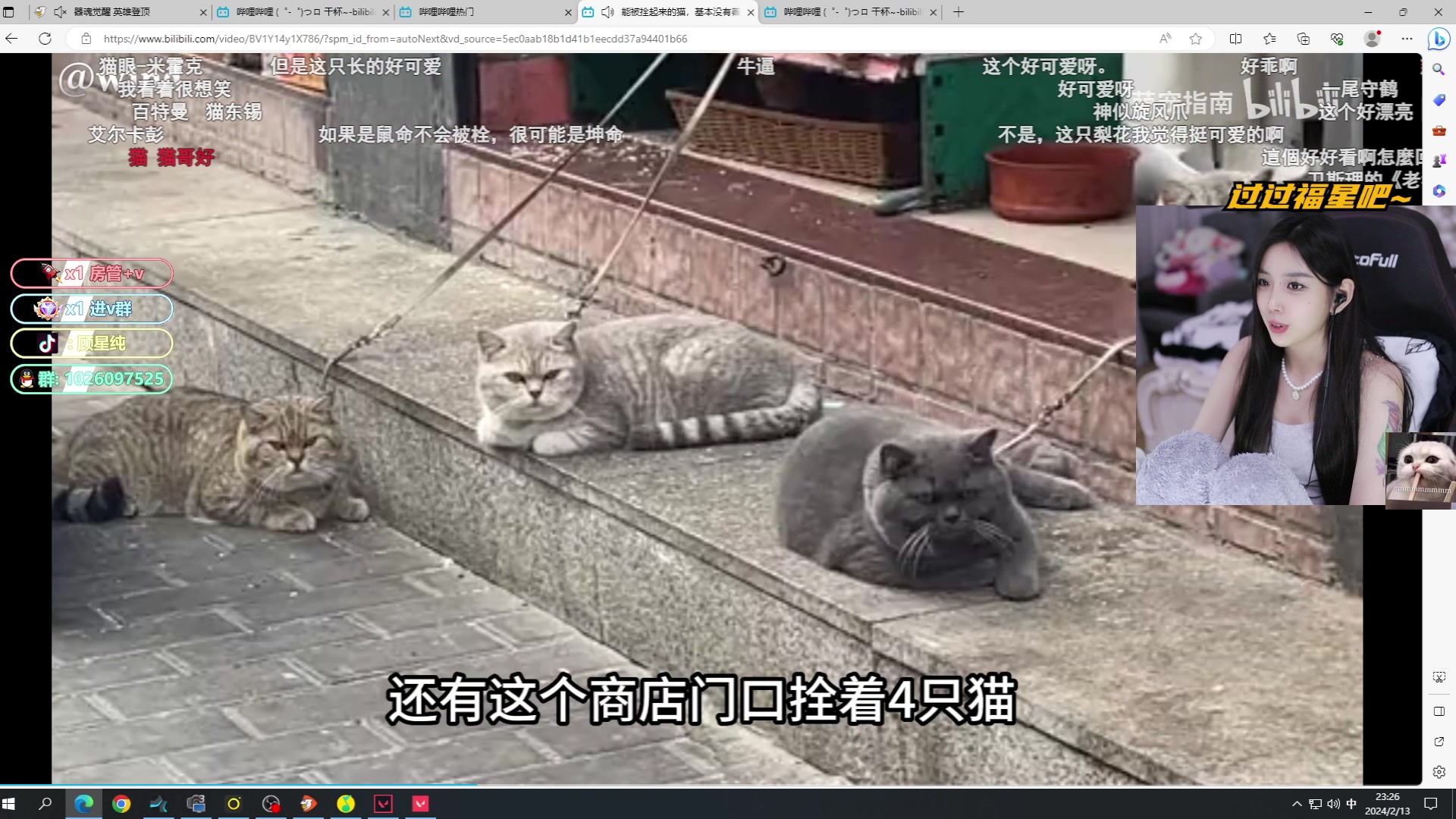 【2024-02-13 22点场】顾星纯：【呆猪】听声音走步不出去，看画面入不了眼