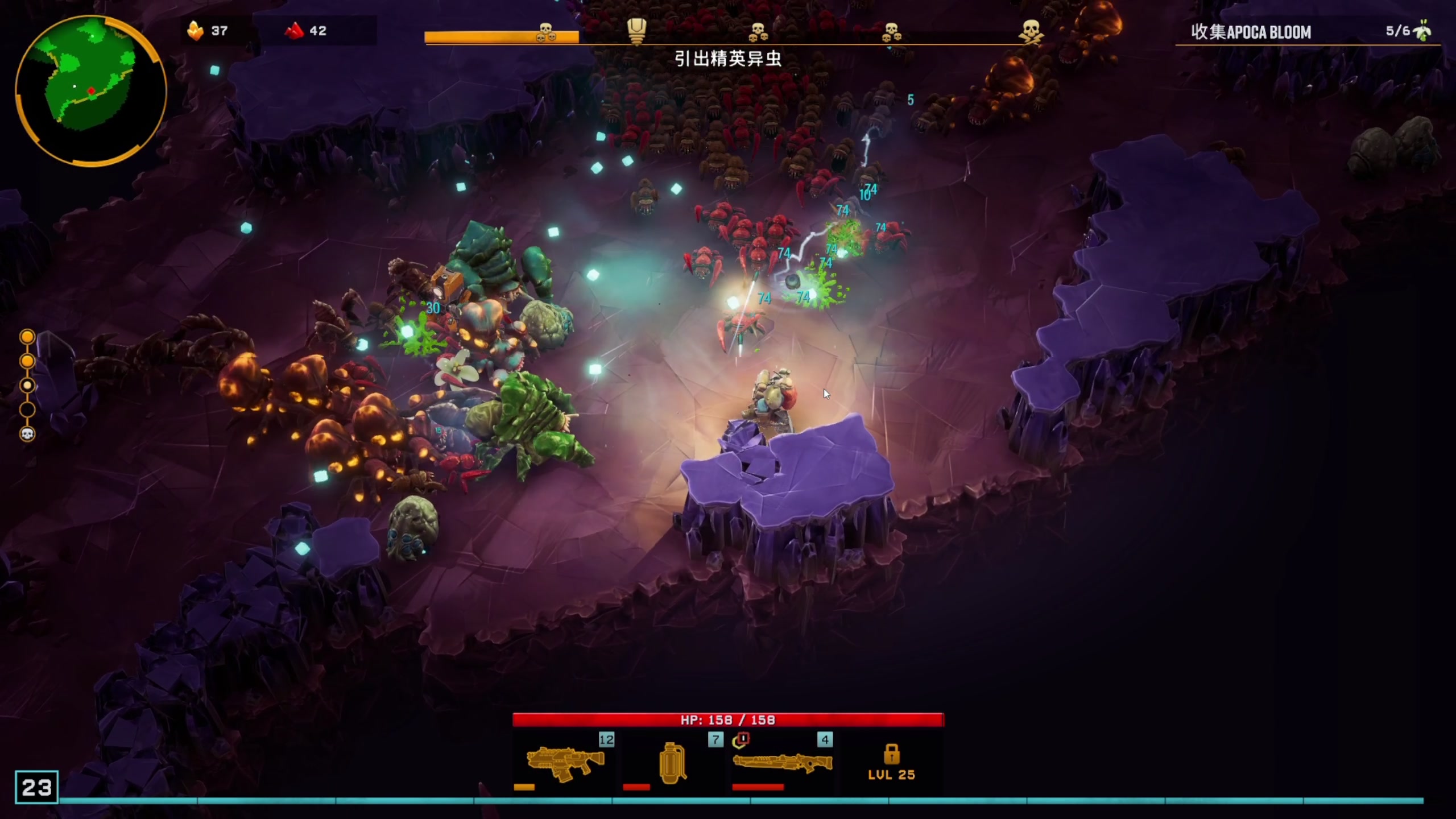 【2024-02-16 10点场】尐表哥：老表：玩着呢！