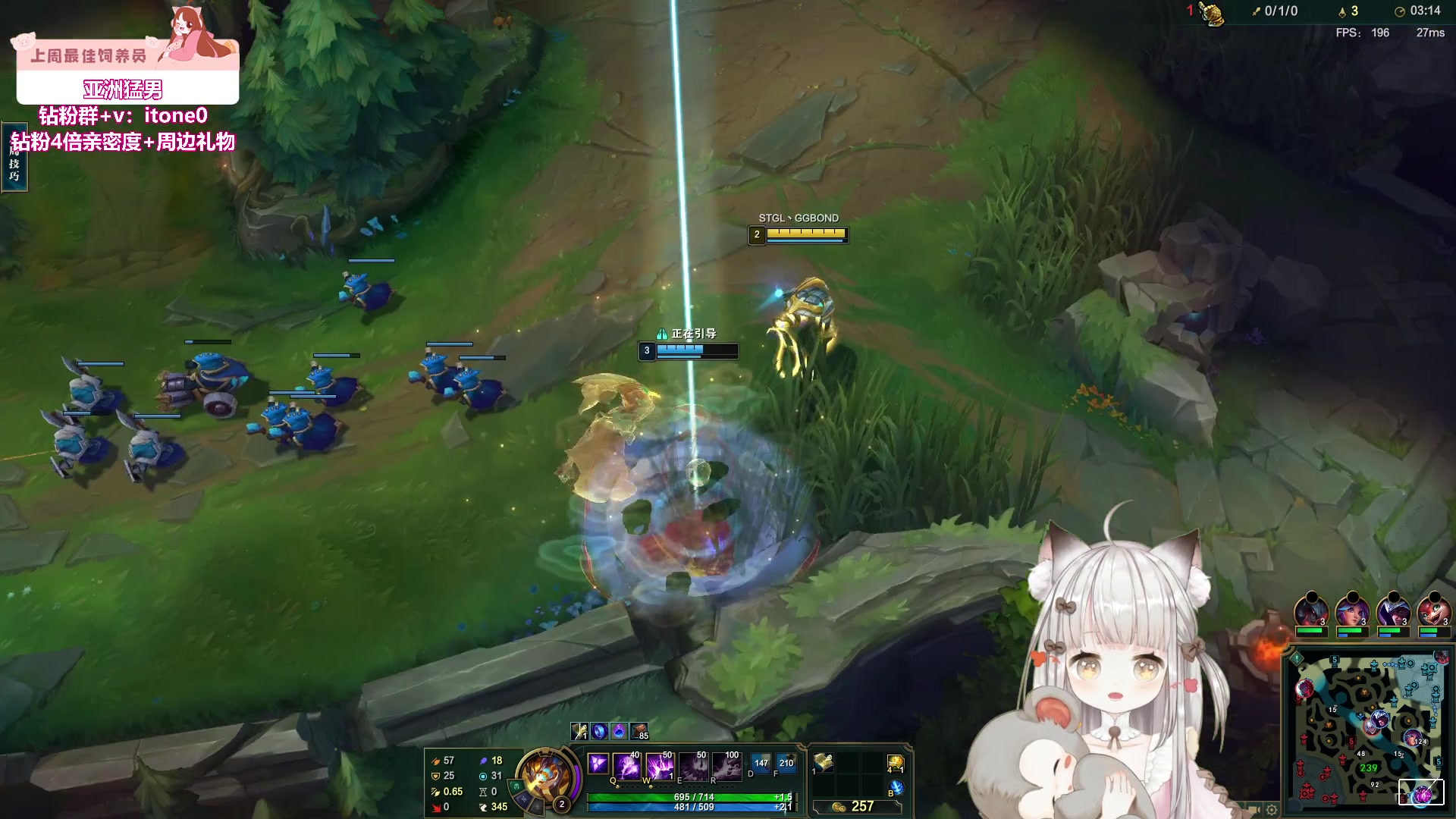 【2024-02-17 00点场】童猪啊i：钻石双倍）今天6点半！