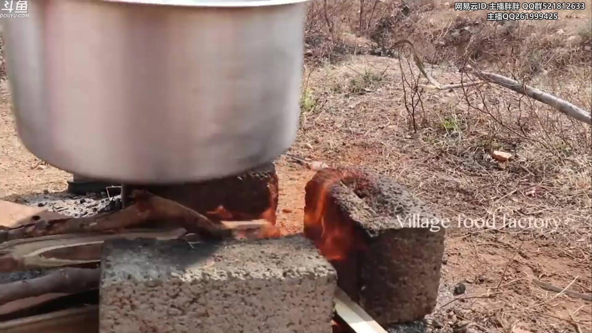 【2024-02-19 03点场】胖胖灬：胖胖OB：BLG TES JD韩服训练