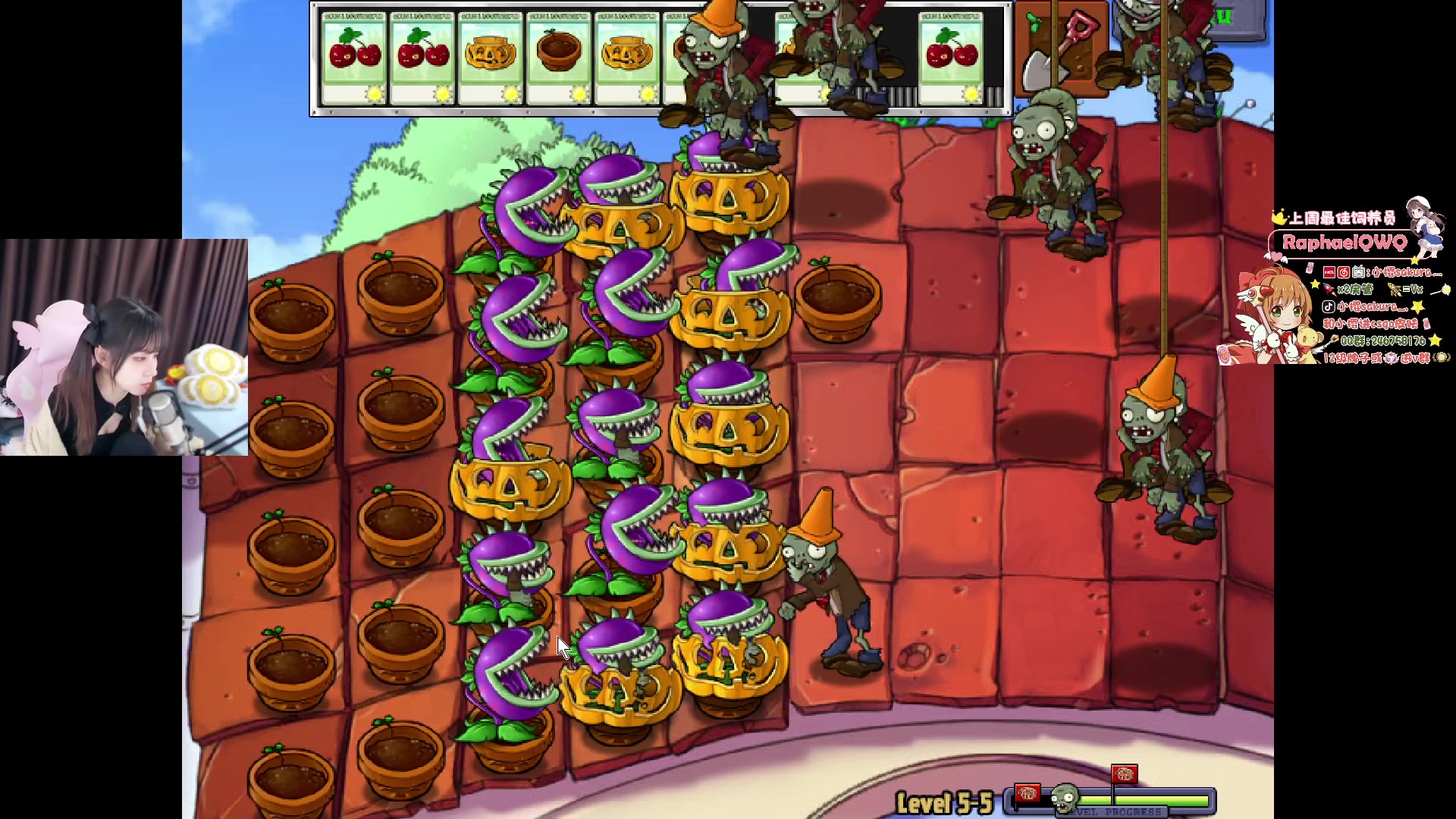 【2024-02-20 00点场】解说小樱sakura灬：【小樱】Major donk和蛇鼠兄弟