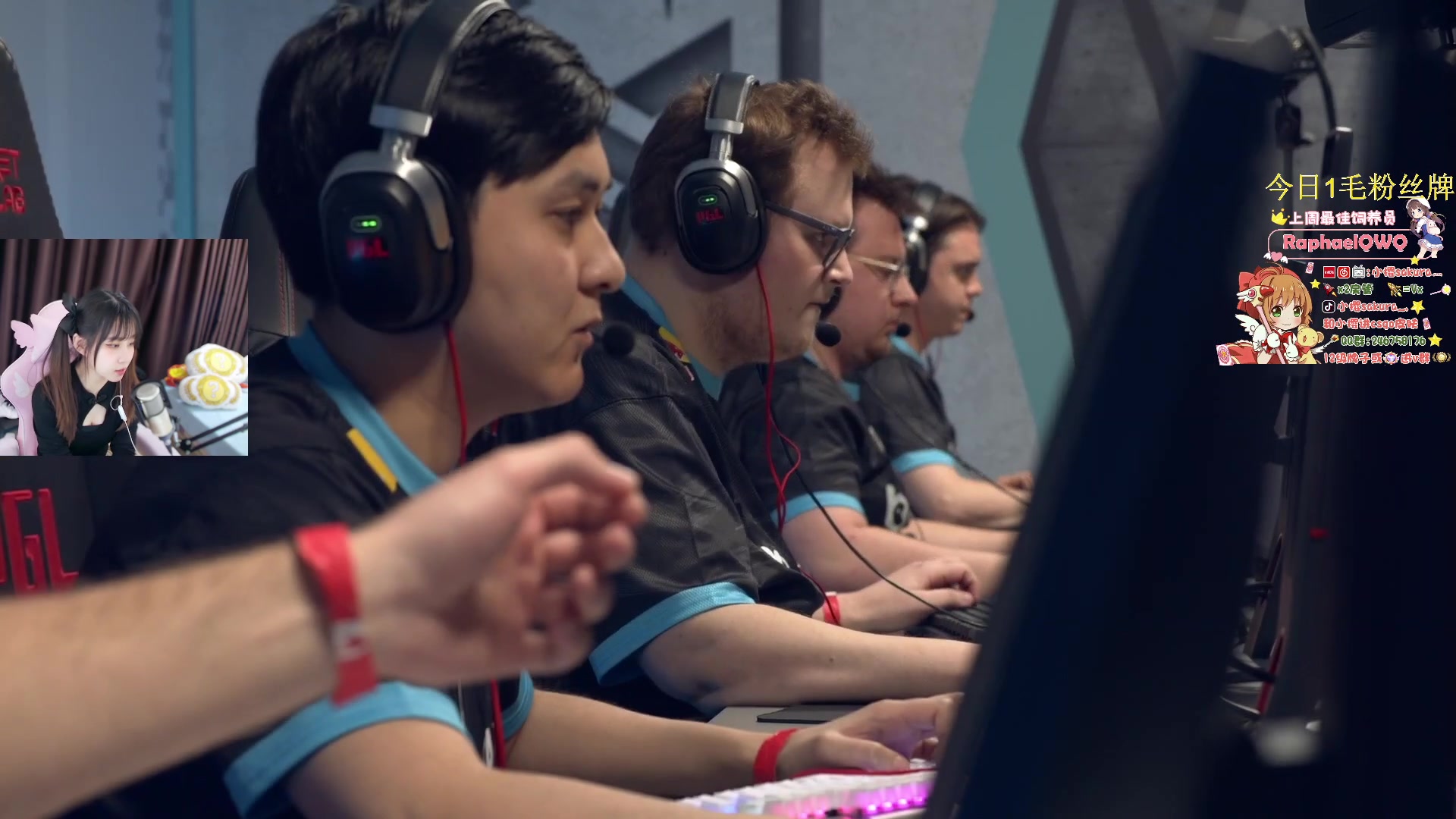 【2024-02-19 20点场】解说小樱sakura灬：【小樱】Major A队VS Nexus