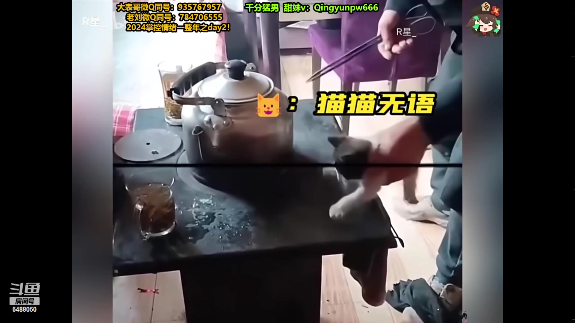 【2024-02-21 00点场】旋转的老刘诺手：新版刺客诺手 R两千真伤！