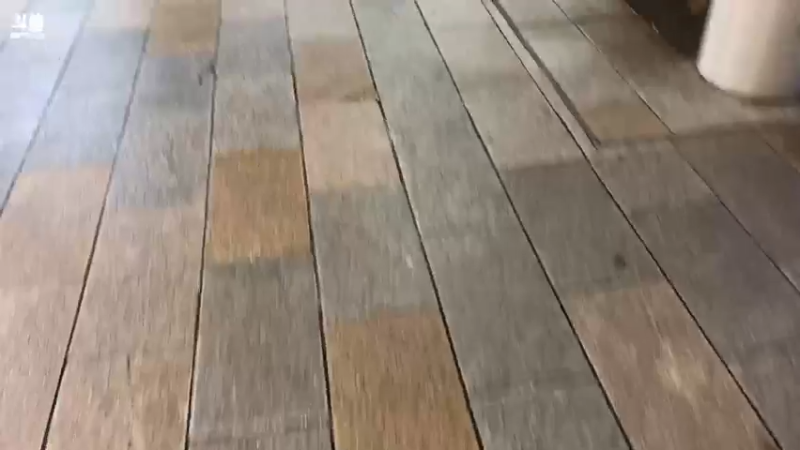 【2024-02-21 19点场】皮特174：中午坐飞机，晚上可能户外