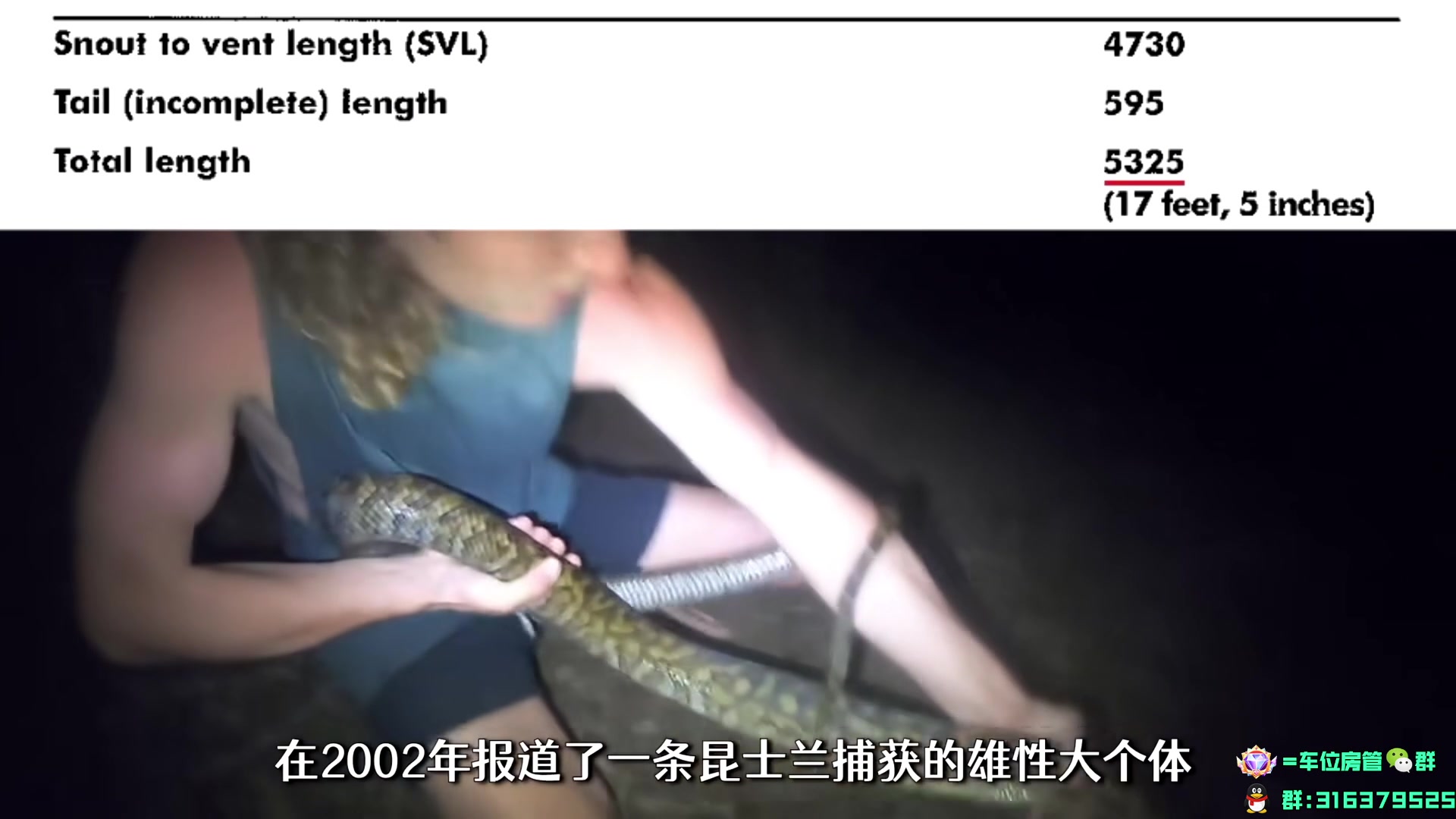 【2024-02-23 18点场】瓦罗兰特啊杰：【啊杰】钻粉接定级和上分！！！