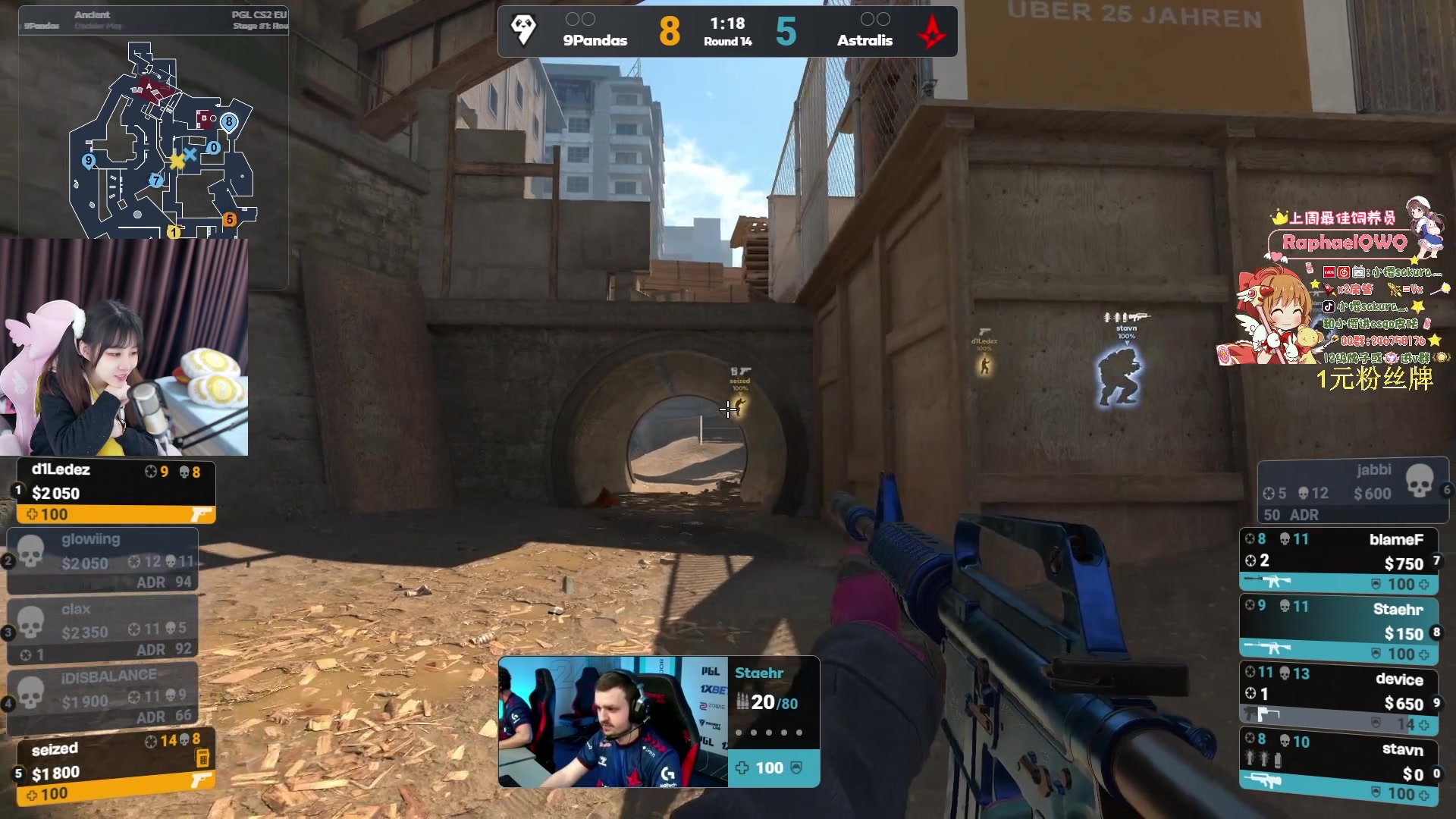 【2024-02-23 18点场】解说小樱sakura灬：【小樱】Major A队VS 9熊猫