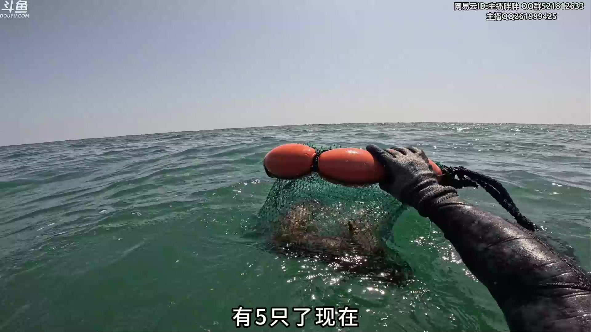 【2024-02-24 02点场】胖胖灬：胖胖OB：TES强啊，直接速通LNG