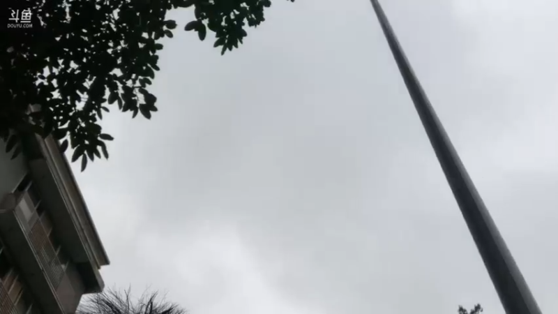 【2024-02-24 15点场】网友张顺飞：驾照报名go