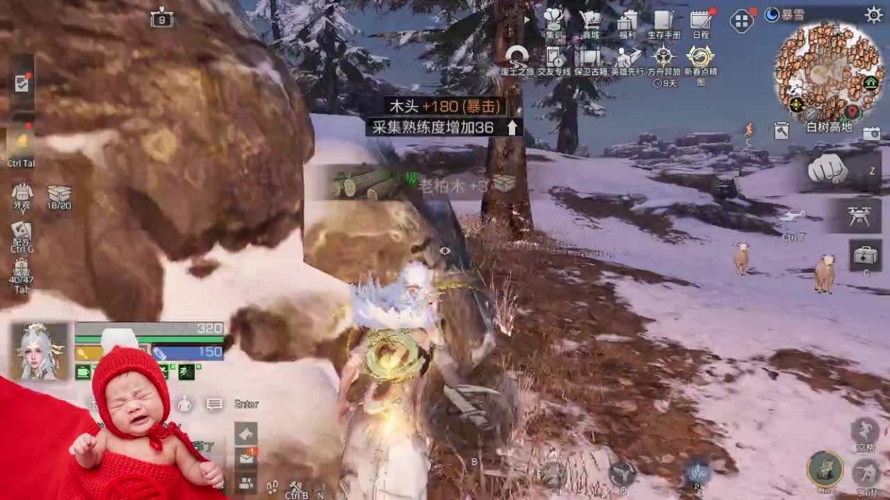 【2024-02-24 22点场】中华田园冯太极：《春和泉-涂山散仙》营地收人