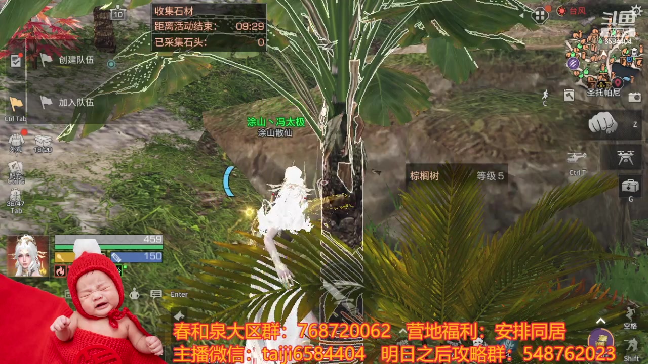 【2024-02-28 14点场】中华田园冯太极：不要想我，好好上班开心学习