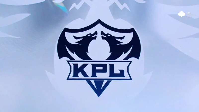 深圳DYG VS 济南RW侠第4局-2024年KPL春季赛常规赛