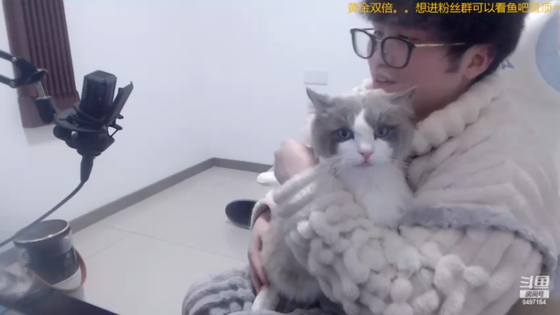 【2024-03-02 01点场】WE丶994：直播猫猫护理。。