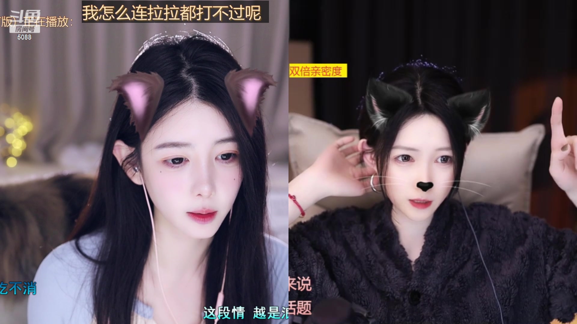 【2024-03-03 16点场】晒网的慧儿呀：小狗努力上班啦~