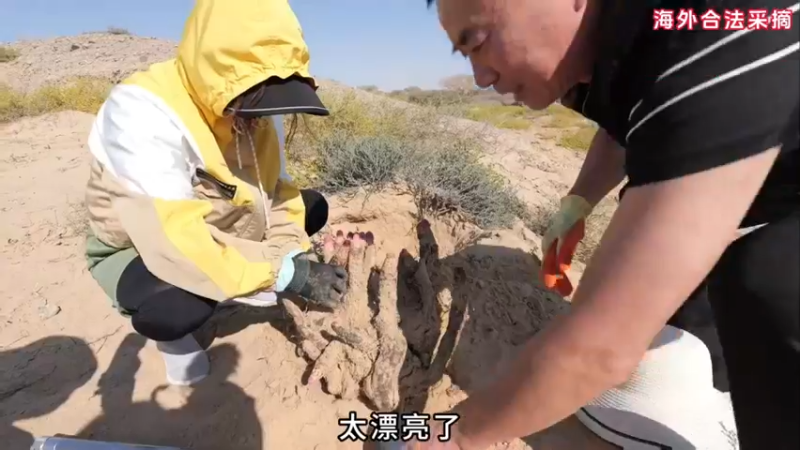 【2024-03-06 03点场】胖胖灬：胖胖OB：RNG EDG强啊，难兄难弟