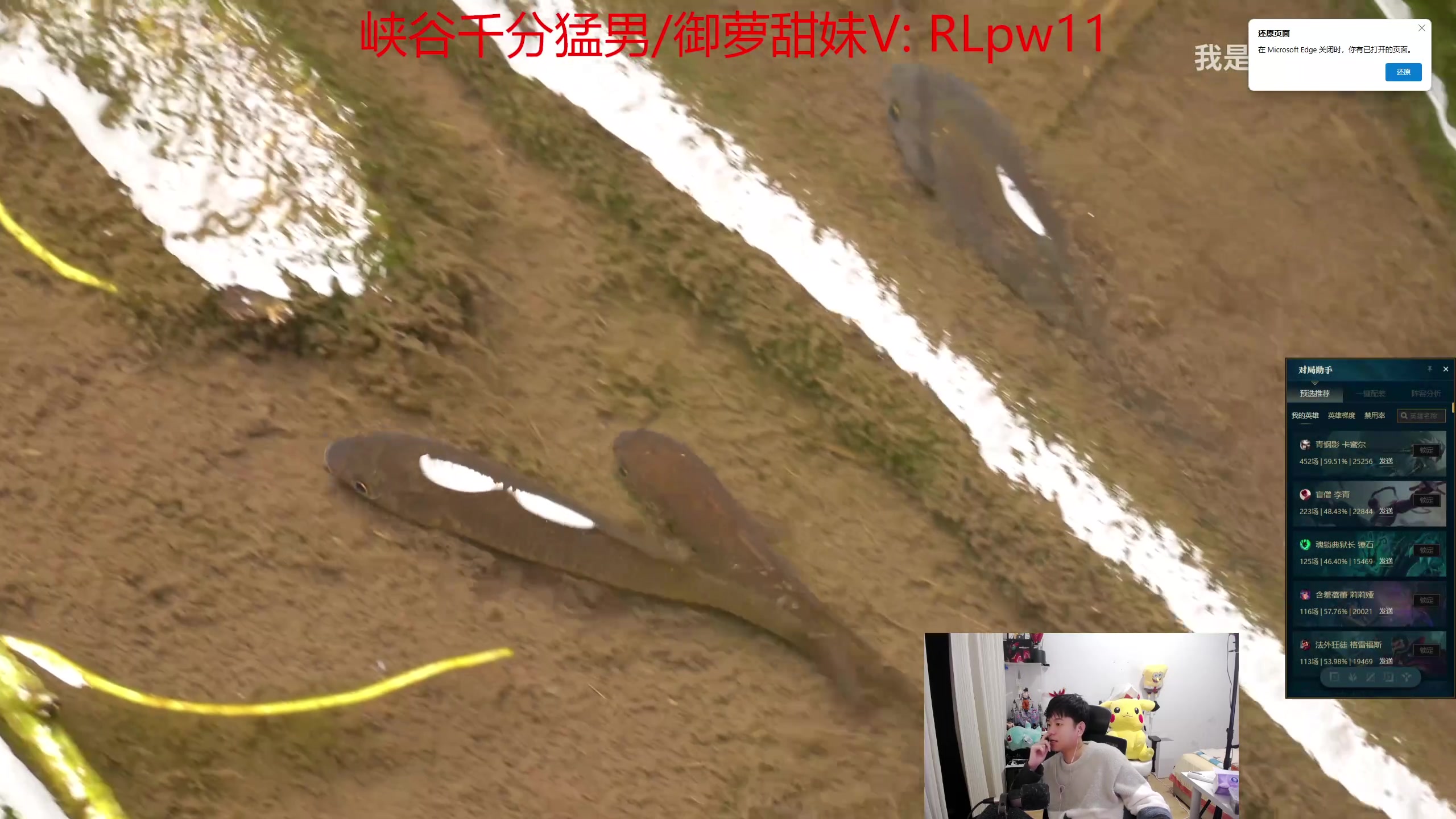 【2024-03-06 04点场】格局OoO：S14第一个王者国一韩二打野教学