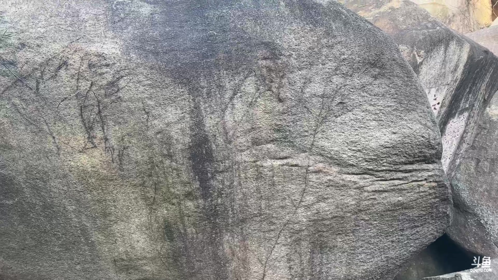 【2024-03-08 15点场】一番少侠29：【钻石双倍】黄毛爬山