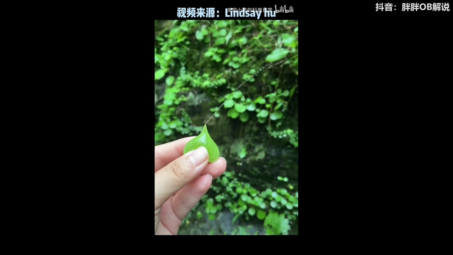 【2024-03-09 05点场】胖胖灬：胖胖OB：FPX打野+Knight+阿水