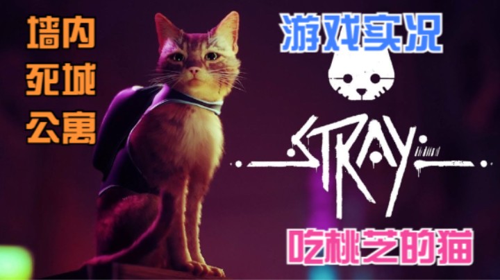 【吃桃芝的猫】Stray迷失-猫咪历险记（第一章：墙内+死城+公寓）