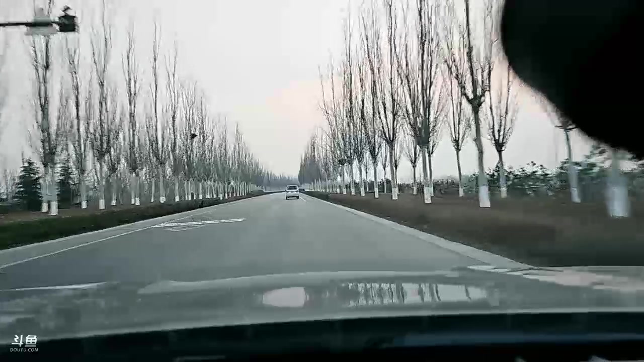 【2024-03-09 17点场】火力堂主：去洛阳和强哥吃个饭！