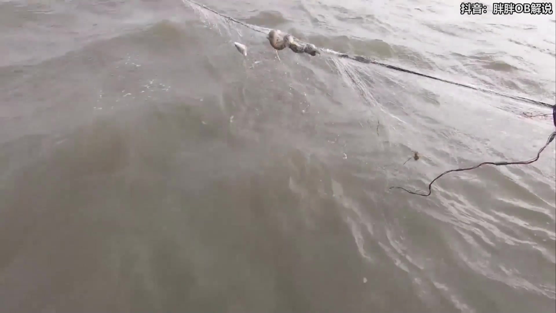 【2024-03-10 02点场】胖胖灬：胖胖OB：要复出了吗？Knight+阿水