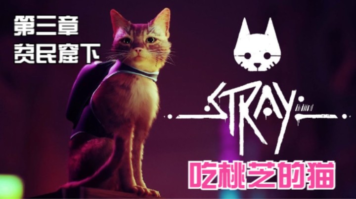 【吃桃芝的猫】Stray迷失-猫咪历险记（第三章：贫民窟 下）