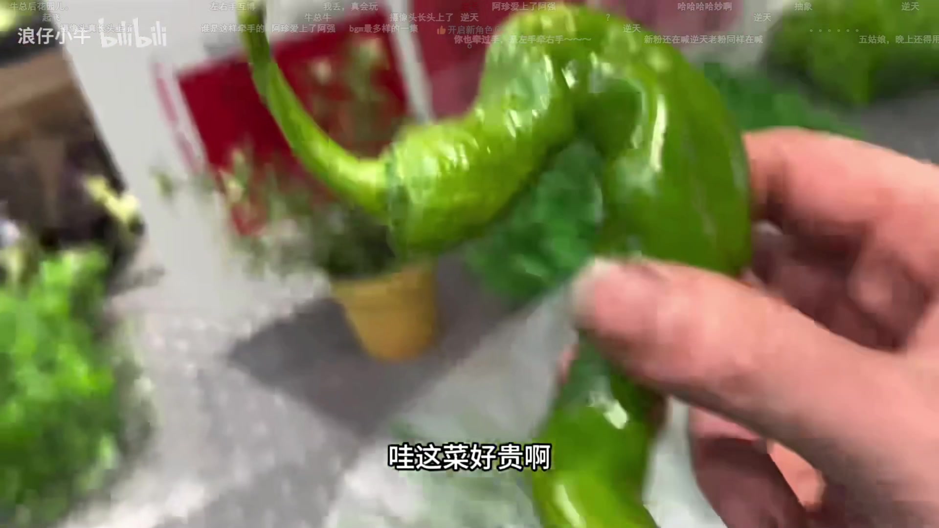 【2024-03-11 23点场】我有上将潘森：【森】开整