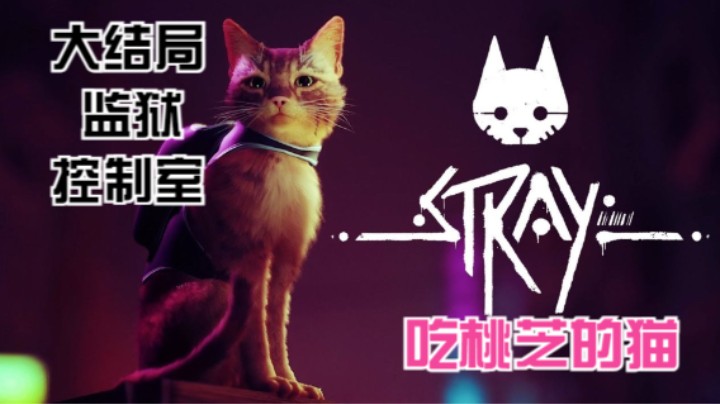 【吃桃芝的猫】Stray迷失-猫咪历险记（第六章：监狱+控制室）大结局
