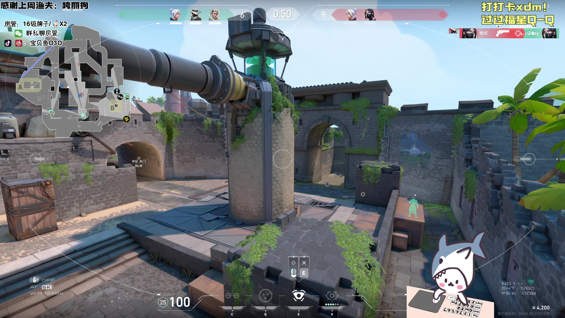 【2024-03-13 17点场】宝贝鱼O3O：宝贝鱼：掉头发的时候感觉自己是一株蒲公英