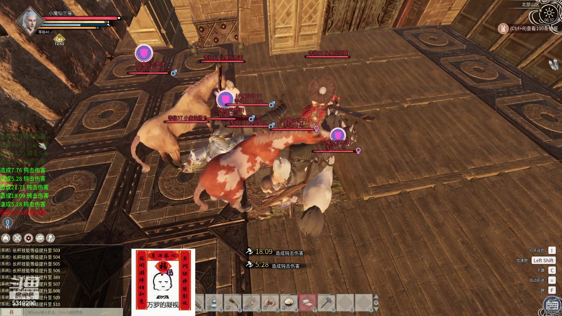 【2024-03-13 05点场】菜到极致小兰摧：睡饱了就来