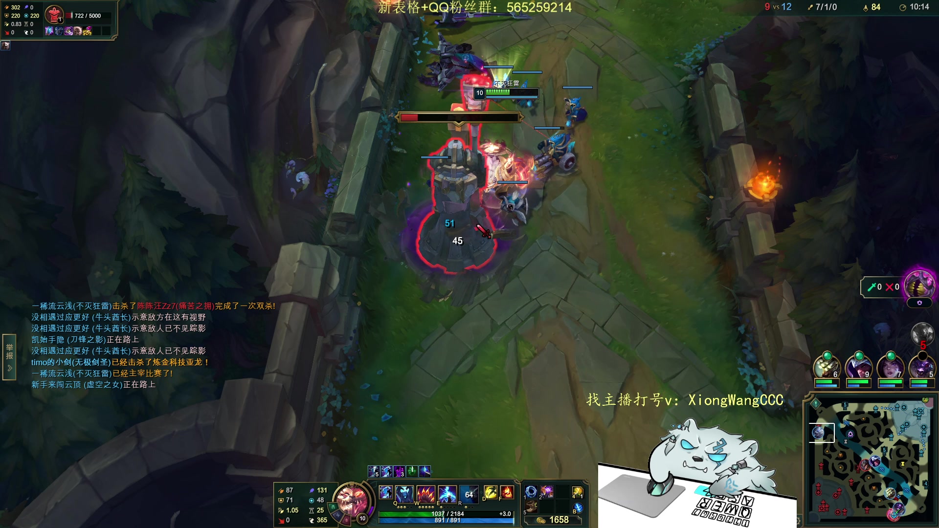 【2024-03-14 17点场】熊王c：熊c：飞飞飞