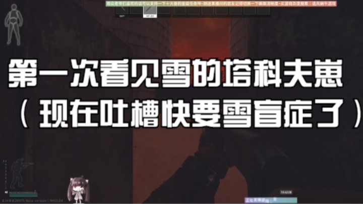 第一次看见雪的塔科夫崽（现在吐槽快要雪盲症了）！