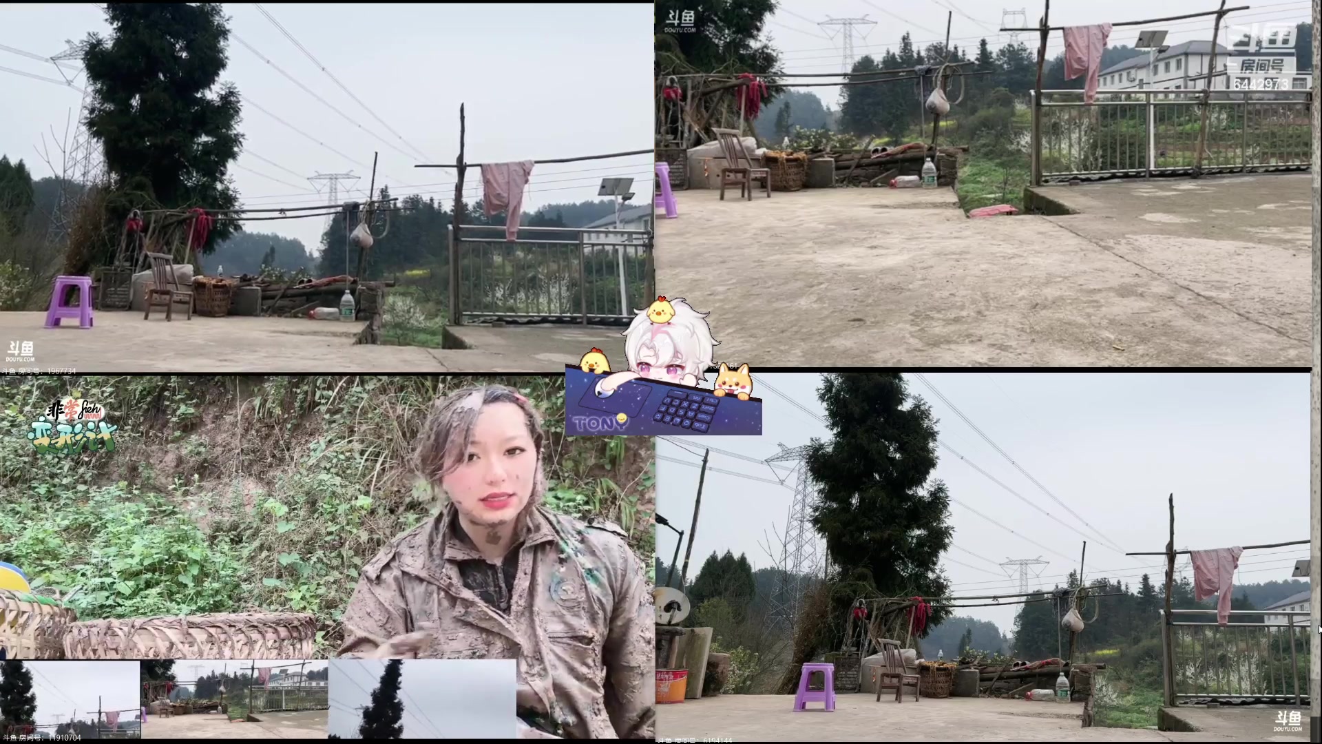 【2024-03-17 16点场】Tony托公子：不可以吃鲅鱼哦！