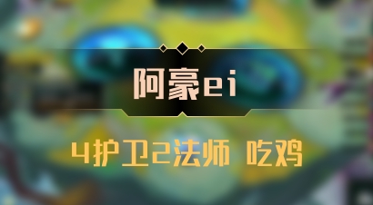 【阿豪ei】4护卫2法师 吃鸡