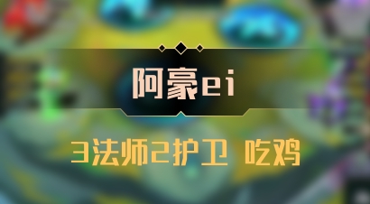 【阿豪ei】3法师2护卫 吃鸡