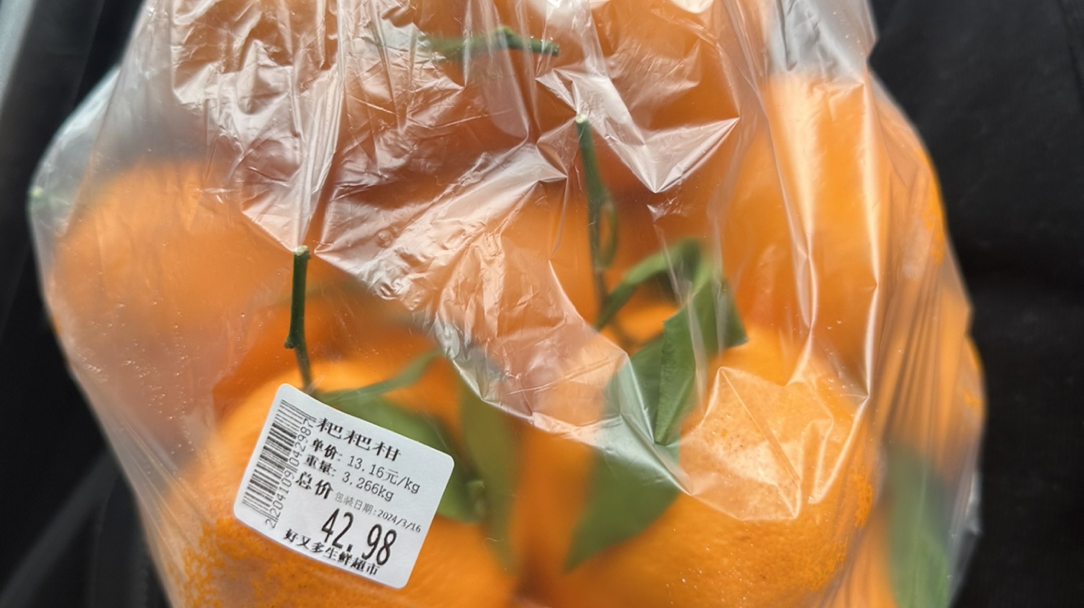 【2024-3-16 22点场】斯基H:【斯基】 随便玩玩