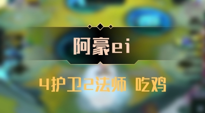 【阿豪ei】4护卫2法师 吃鸡