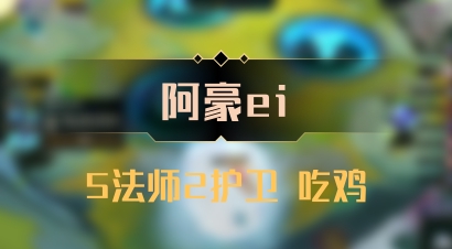 【阿豪ei】5法师2护卫 吃鸡
