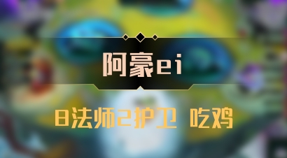 【阿豪ei】8法师2护卫 吃鸡